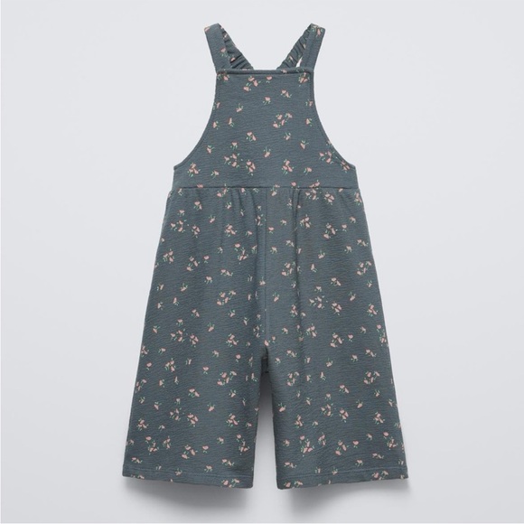 Zara Other - ZARA PLUSH FLORAL OVERALLS